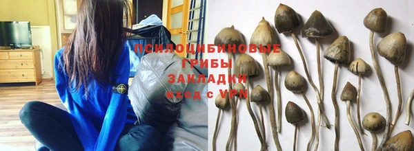 мескалин Карталы