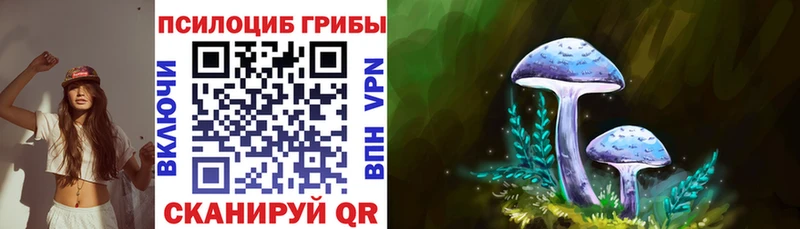 Купить закладки  Белоусово  Галлюциногенные грибы Psilocybe 